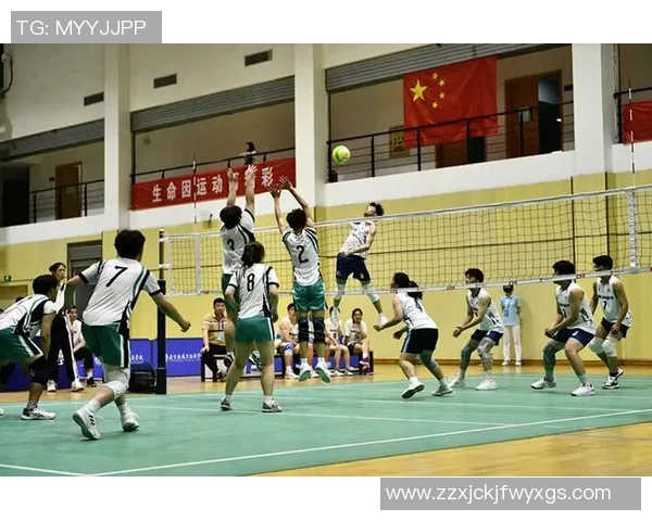 南京排球队实力飙升创历史新高引发广泛关注与期待